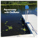 Scott Aerator Aquasweep operating underwater attached to dock with Oscillator