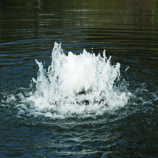 scott_aerator_boilermaker_in_water_close_up